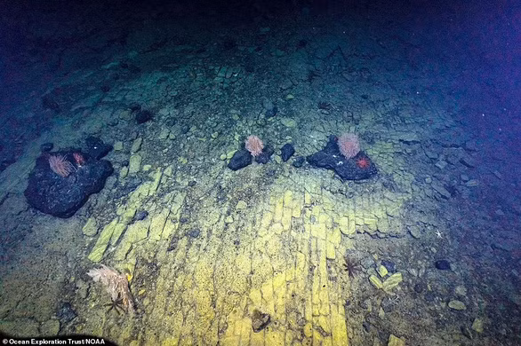 Việc nghiên cứu các thành hệ giúp giới nhà khoa học có thể so sánh tương quan giữa các tầng địa chất.