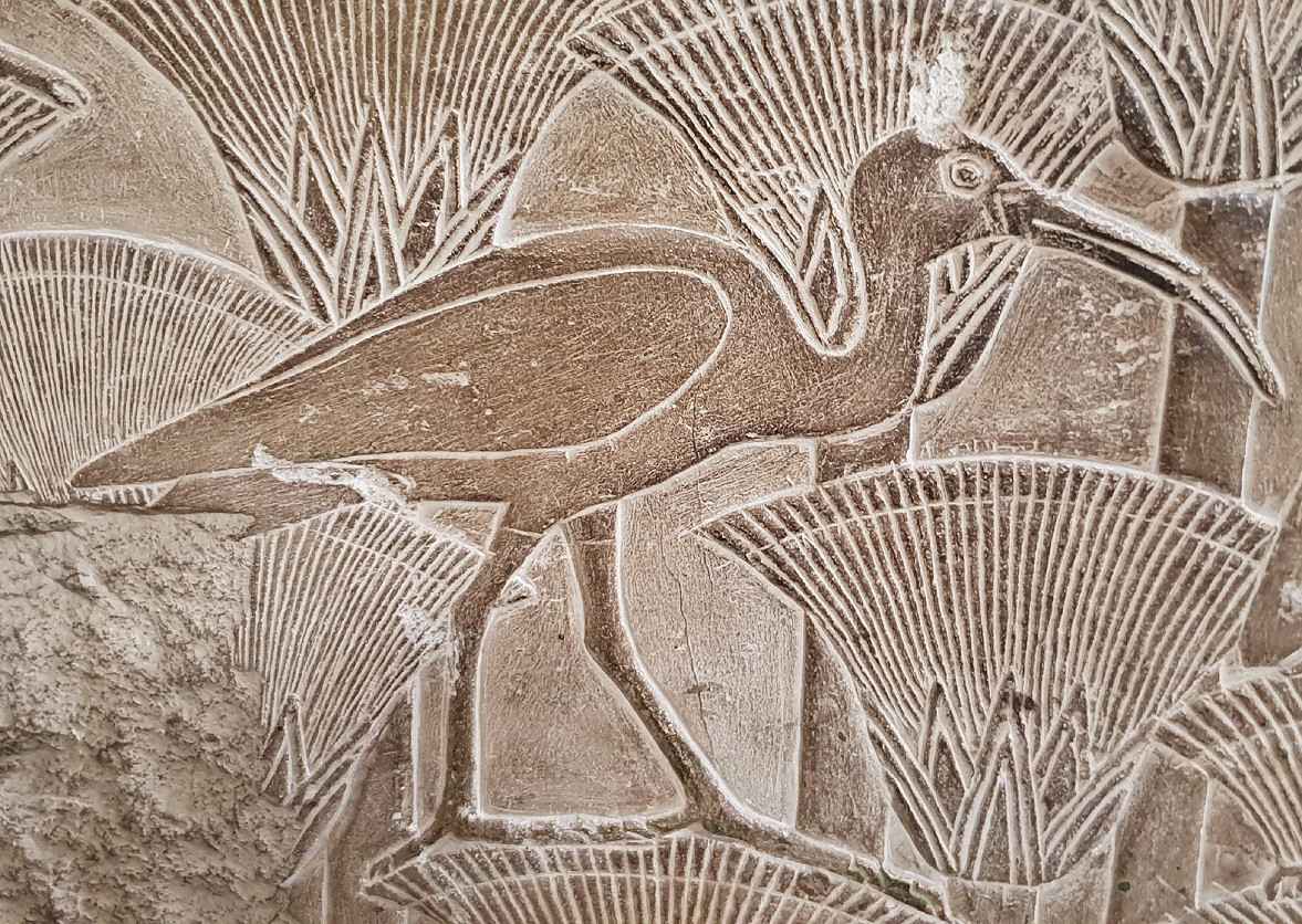 Hiện các chuyên gia đang cố tạo ra hình ảnh 3D của con cò quăm được ướp xác vào khoảng 1.500 năm trước.