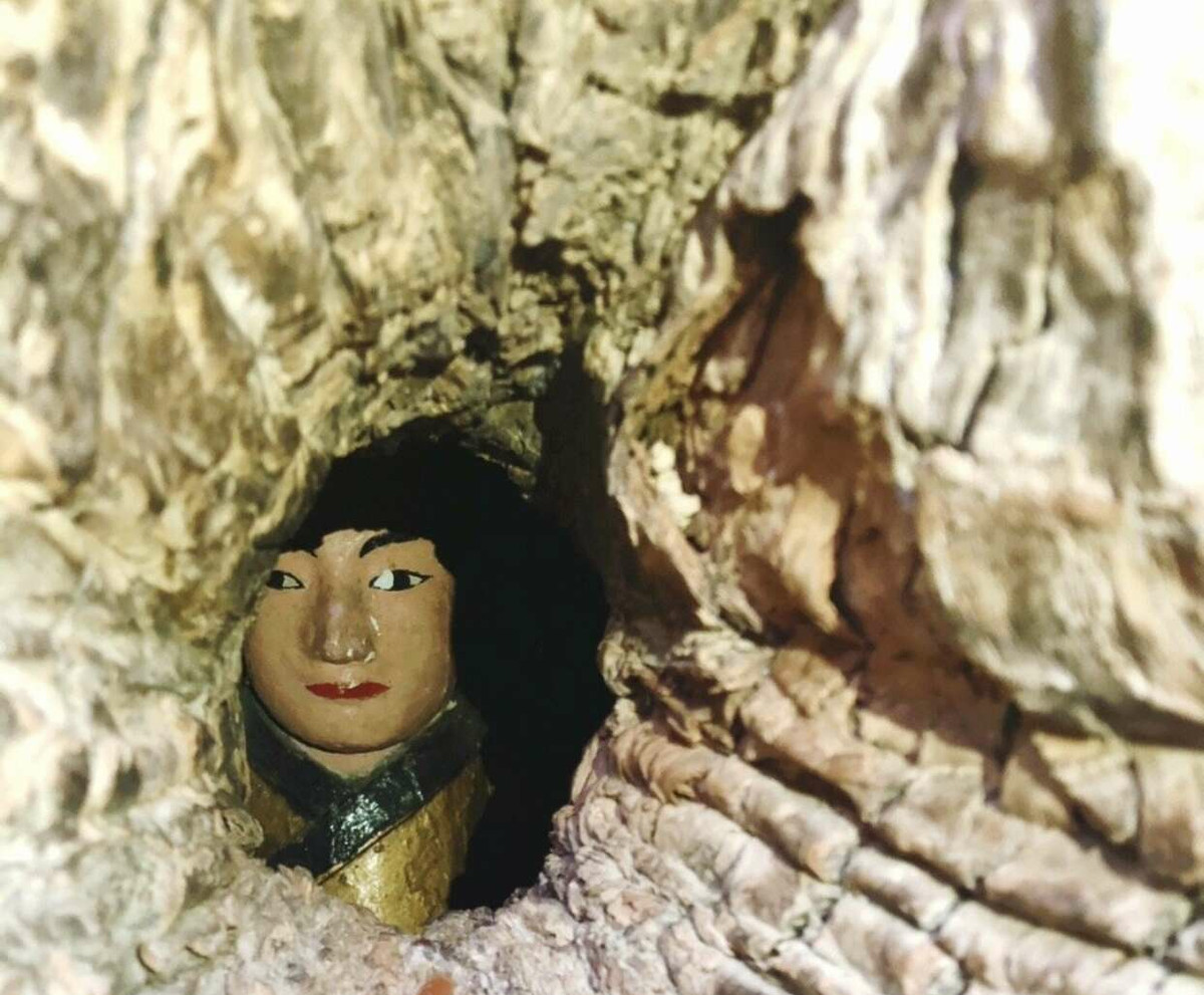 Một điều thú vị khác là dưới gốc cây long não đại thụ mọc thêm một cây con. Các chuyên gia ước tính cây đại thụ phía trên khoảng 1.020 năm tuổi trong khi cây nhỏ hơn khoảng 268 tuổi.