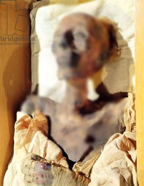 Xác ướp pharaoh Ramesses II được lưu giữ và trưng bày ở Bảo tàng Ai Cập tại Cairo kể từ năm 1885. Đến năm 1974, các chuyên gia phát hiện xác ướp nhà vua nhiễm nấm và có nguy cơ phân hủy cao.