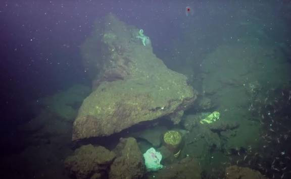 Ở dưới đáy vực, áp suất nước khoảng 1.086 bar (1.071 atm) gấp 1.000 lần so với áp suất khí quyển tiêu chuẩn ở mặt nước biển. Nhiệt độ đáy rãnh nằm trong khoảng từ 1 - 4 độ C.