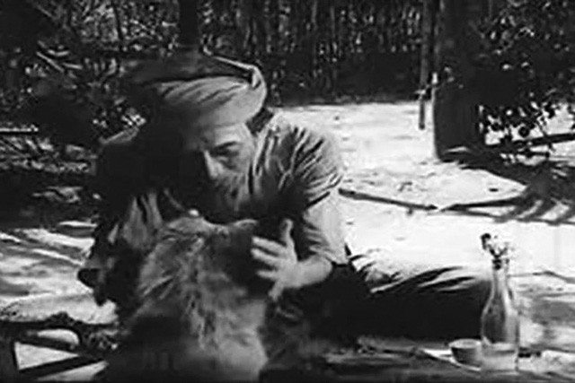 Tuy nhiên, nhà văn tỏ ra rất bình thản, ông bảo với đạo diễn: “Anh để tôi chăm nom con chó, cho nó ăn uống, vuốt ve nó mới dễ làm thân. Giờ nó đang sợ, đừng ai lại gần, cũng không được dọa nạt, bắt nó vào vai như người được đâu”.