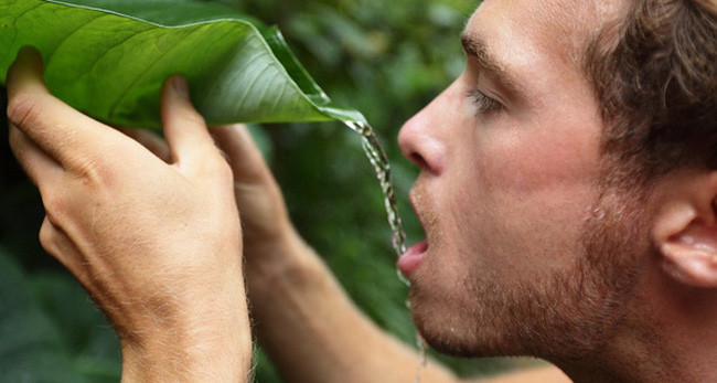 Các kỹ năng sinh tồn sẽ hỗ trợ kiến thức để thúc đẩy sự duy trì sự sống trong một khoảng thời gian. Chúng thường gắn liền với nhu cầu sống sót trong tình huống thảm họa.