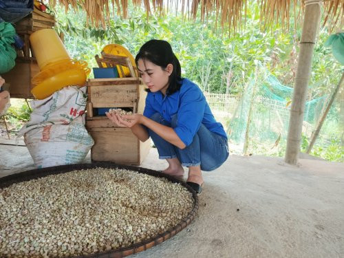 Tuy nhiên, quê hương "chó ăn đá, gà ăn sỏi" trời nắng cuốc xuống đất cuốc nảy lên, trơ trọi toàn sỏi đá, mùa mưa đất dính nhẹm luôn hiện về trong giấc mơ của Linh.