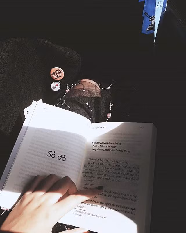 Trong tác phẩm Số đỏ Vũ Trọng Phụng đã chứng tỏ một bút pháp bậc thầy trong việc xây dựng nhân vật.