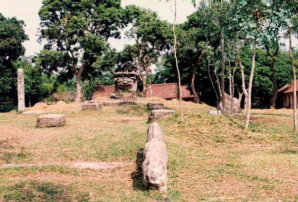 Mặt sư tử dũng mãnh, mũi to căng tròn. Toàn thân sư tử được điêu khắc hoa cúc dây, hoa văn xoắn ốc dày đặc, tỉ mỉ, không một diện tích nhỏ nào là không có chạm khắc hoa văn.