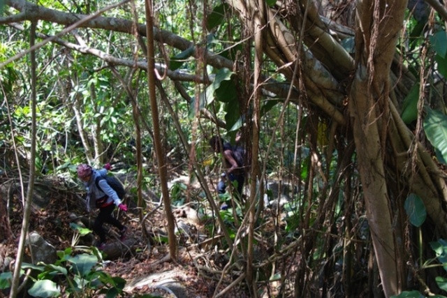 Leo núi Bà Đen đường cột điện cũng là một lựa chọn thú vị. Cung đường này đi qua rừng xoài, rừng chuối... mát mẻ nhưng khá dài, ít người qua lại và không có các cửa hàng “tiếp tế” dọc đường. Thời gian leo núi dao động từ 3-5 tiếng tuỳ thể lực.