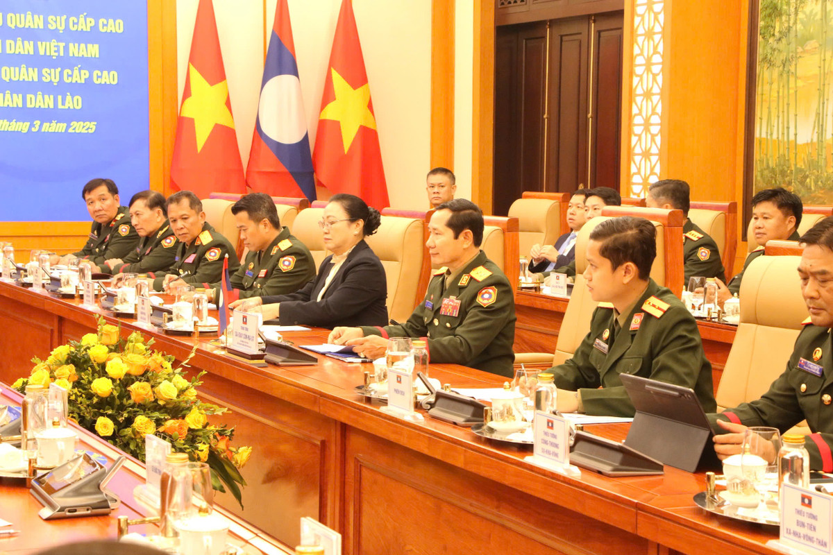 Viet Nam se ho tro Lao thanh lap luc luong gin giu hoa binh LHQ-Hinh-4