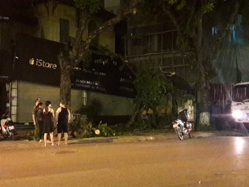 Cây bị đổ có đường kính thân và cành khá lớn.Vụ cây cổ thụ gãy đổ khiến nhiều người lo lắng. Rất may không có người nào bị thương trong vụ việc