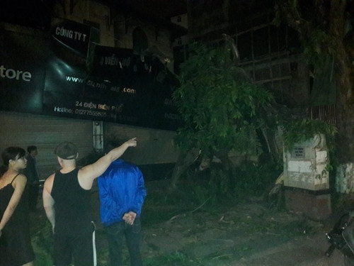 Theo đó, thời điểm trên, bất ngờ có cơn gió mạnh đi qua, cây cổ thụ trong khuôn viên nhà 24 bỗng dưng gãy, đổ hướng ra phía hè đường đè lên biển hiệu của một văn phòng luật sư và một cửa hàng điện thoại có địa chỉ ở số 24 Điện Biên Phủ.