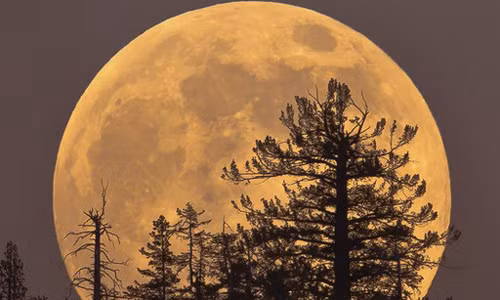 Siêu trăng lớn nhất 70 năm ở Việt Nam cực đại lúc mấy giờ? Sieu trang lon nhat 70 nam o Viet Nam cuc dai luc may gio?