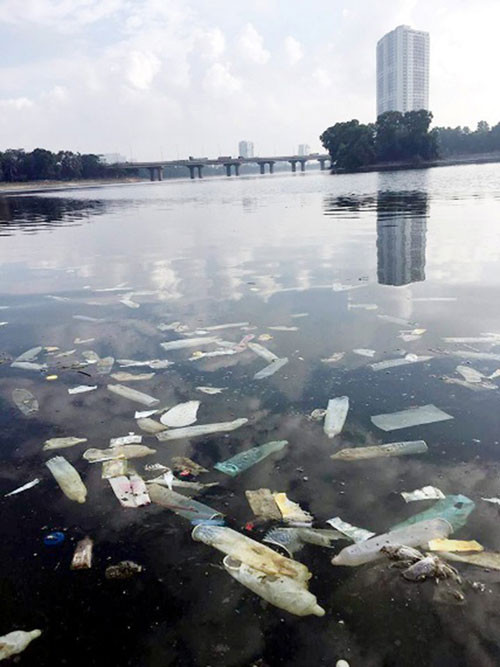 Điều đáng nói, những hình ảnh xấu xí này lại được phản ánh bởi một người nước ngoài đang sinh sống tại Việt Nam ghi lại. Người nước ngoài này sau đó cũng bày tỏ bức xúc khi hàng ngày anh vẫn tranh thủ đi dọn rác ở công viên Linh Đàm. Nhưng hôm nay là lần đầu tiên anh thấy thứ rác "nhạy cảm" này ở trong hồ.