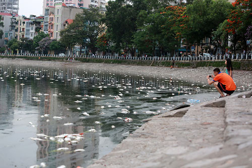 Người dân sinh sống quanh hồ Hoàng Cầu cho rằng hiện tượng cá chết bất thường tại đây là do nước hồ bị ô nhiễm nặng nề.