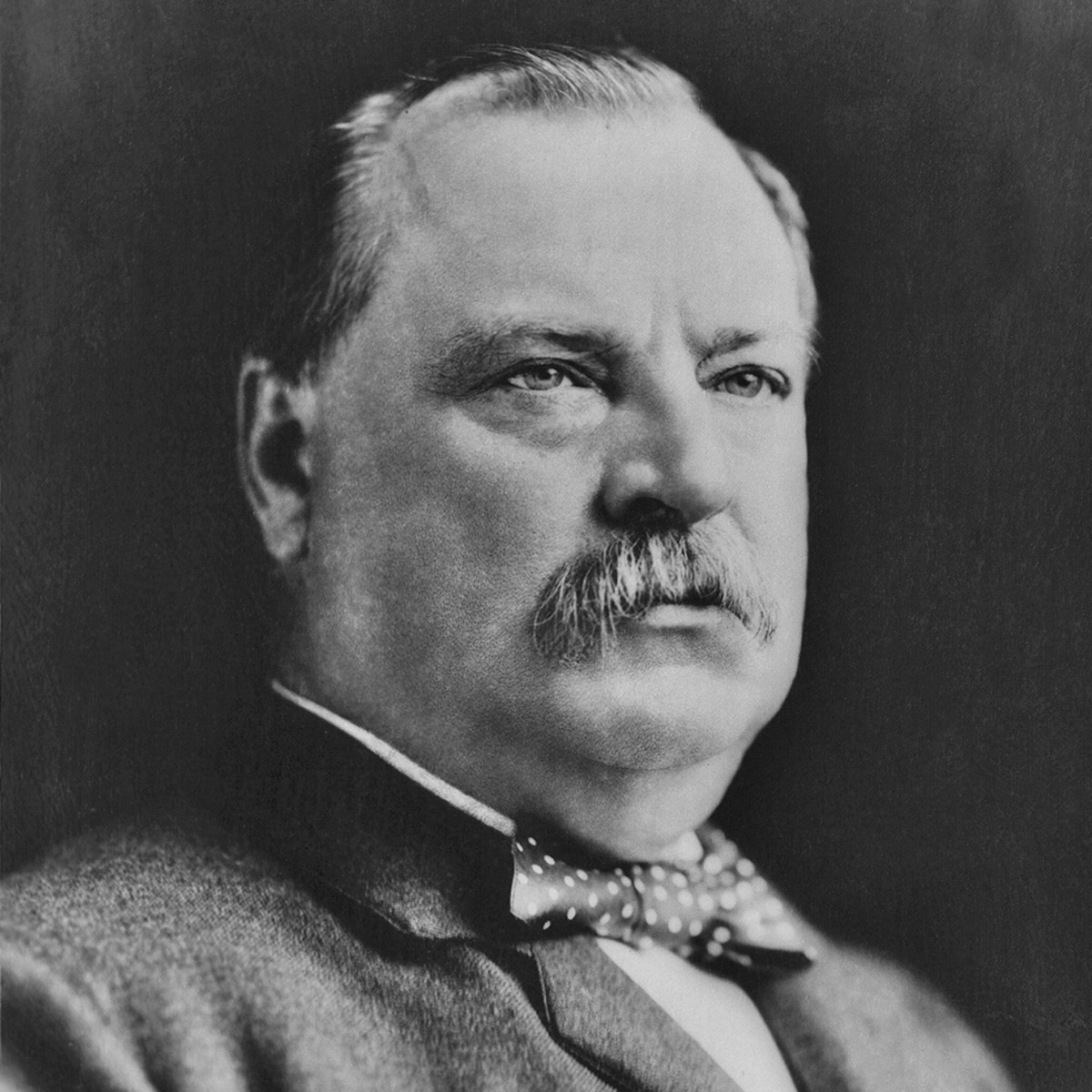 Cụ thể, vào ngày 2/6/1886, Tổng thống Cleveland cử hành hôn lễ với Frances Folsom tại Nhà Trắng. Vào thời điểm kết hôn, Frances Folsom mới 22 tuổi trong khi Tổng thống Cleveland 49 tuổi. Theo đó, bà trở thành Đệ nhất phu nhân trẻ nhất lịch sử Mỹ.