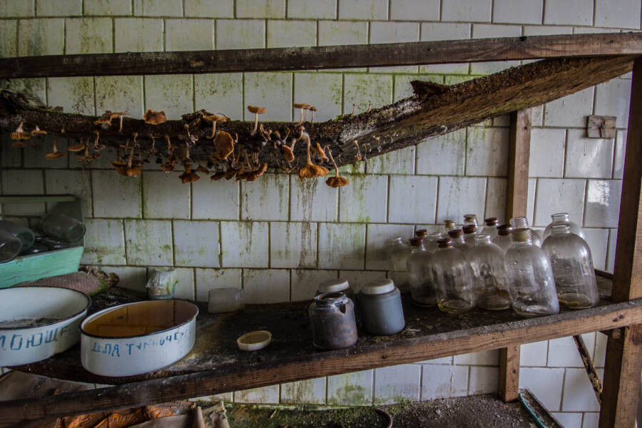 Nhiều đồ đạc, chai lọ, dụng cụ y tế trong bệnh viện bỏ hoang trở nên cũ kỹ, hoen rỉ sau nhiều thập kỷ không được con người sử dụng.