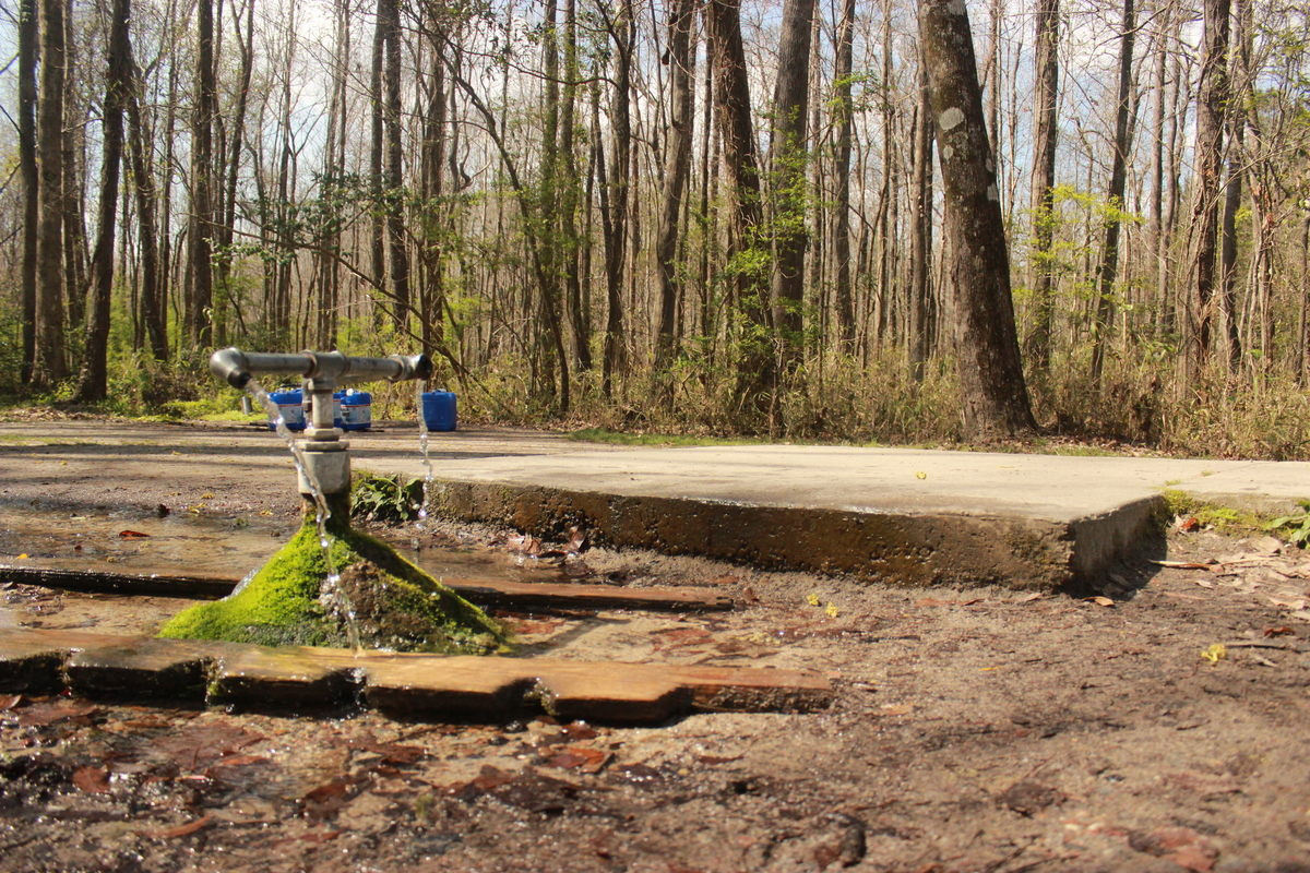 God's Acre Healing Springs ở phía sau nhà thờ Baptist, thị trấn Blackville, Nam Carolina, Mỹ được biết đến là một dòng suối "thần" với khả năng chữa lành bệnh tật kỳ diệu.