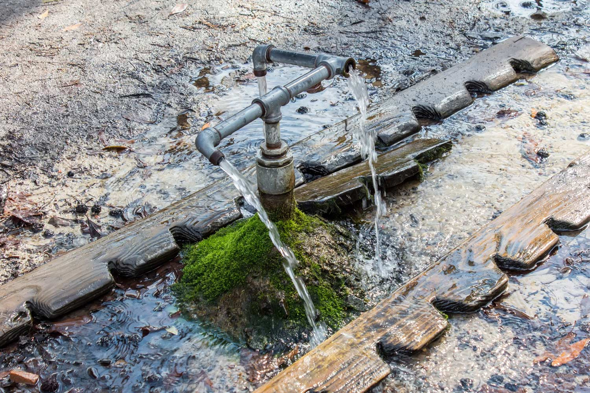 Những câu chuyện "cải tử hoàn sinh" nhờ uống nước lấy từ dòng suối God's Acre Healing Springs khiến nơi đây càng được biết đến rộng rãi.