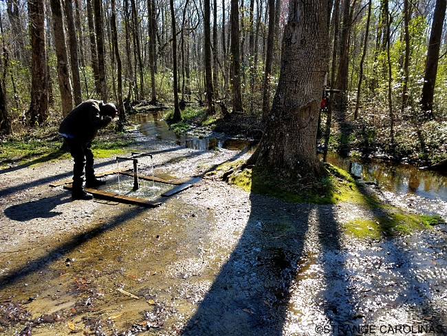 Do bị thương nặng nên 4 binh sĩ Anh này bị đồng đội bỏ lại để tiếp tục nhiệm vụ. Họ được một người dân bản địa phát hiện và lấy nước ở suối God's Acre Healing Springs cho uống.