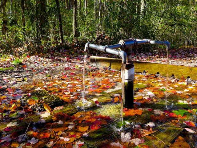 Trong một khoảng thời gian dài, God's Acre Healing Springs thuộc sở hữu tư nhân nên người dân không thể tự do tiếp cận dòng suối.