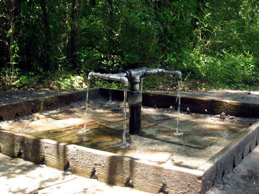 Cụ thể, dòng suối God's Acre Healing Springs được cho có niên đại hơn 1 triệu năm tuổi. Nước của dòng suối này chảy từ những ngọn núi cao ở cách đó hàng trăm dặm.