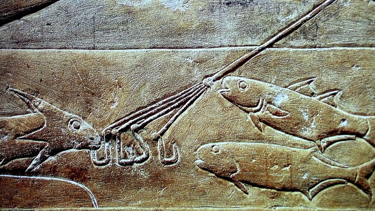 Để có thể câu được nhiều cá, người chơi sẽ sử dụng nhiều loại cần câu, móc câu và mồi câu khác nhau.