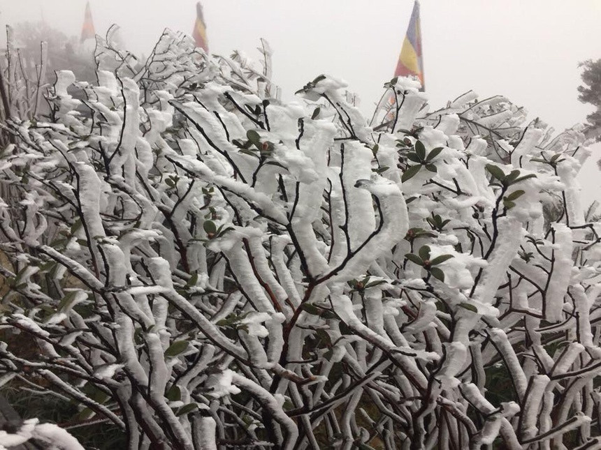 Dot ret hai sap toi o mien Bac khac nghiet the nao?