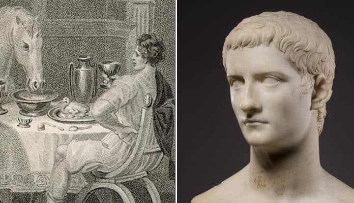 Trước khi bị ám sát, hoàng đế La Mã Caligula đã phong cho con ngựa yêu thích tên Incitatus của mình làm thượng nghị sĩ. Không những vậy, con ngựa này còn được cung phụng nơi ở và đồ ăn đắt tiền. Thậm chí, nó còn đeo trang sức.