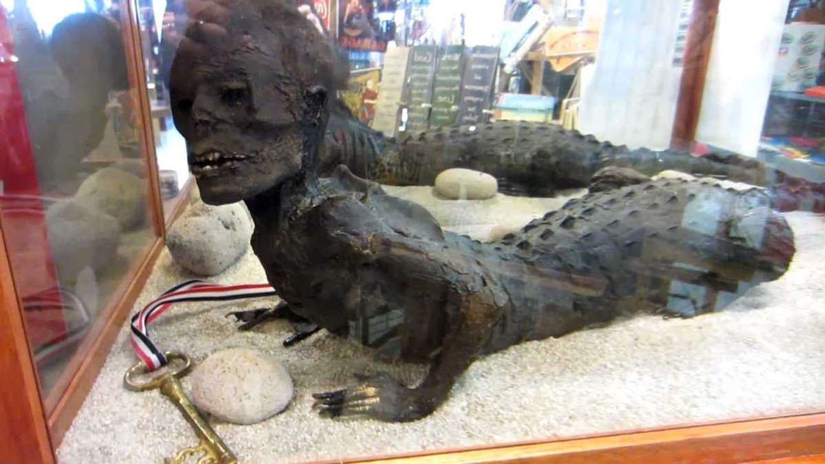 Theo chia sẻ của vợ chồng ông Marsh - chủ bảo tàng tư nhân Marsh's Free, họ nhìn thấy người cá sấu Jake lần đầu tiên vào năm 1967. Khi ấy, người cá sấu Jake là một cái xác khô trông giống như được ướp xác.