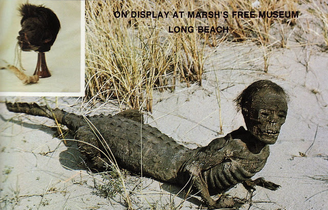 Câu chuyện càng ly kỳ hơn khi World Weekly News tuyên bố người cá sấu là một trong số những tổ tiên của loài người. Trong cuộc tiến hóa, sinh vật này đã phát triển theo chiều hướng khác nên có ngoại hình kỳ dị: nửa người, nửa cá sấu.