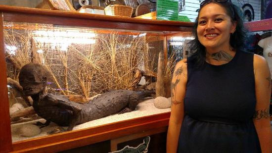 Vì vậy, đến nay, nhiều người tò mò về người cá sấu Jake tìm đến bảo tàng tư nhân Marsh's Free để tận mắt nhìn thấy sinh vật bí ẩn trên đặt trong một tủ kính.