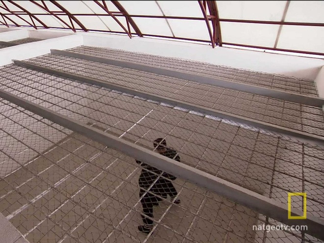 Việc tập thể dục của các tù nhân diễn ra trong một xà lim rộng hơn. Nhà tù không có sân chung.