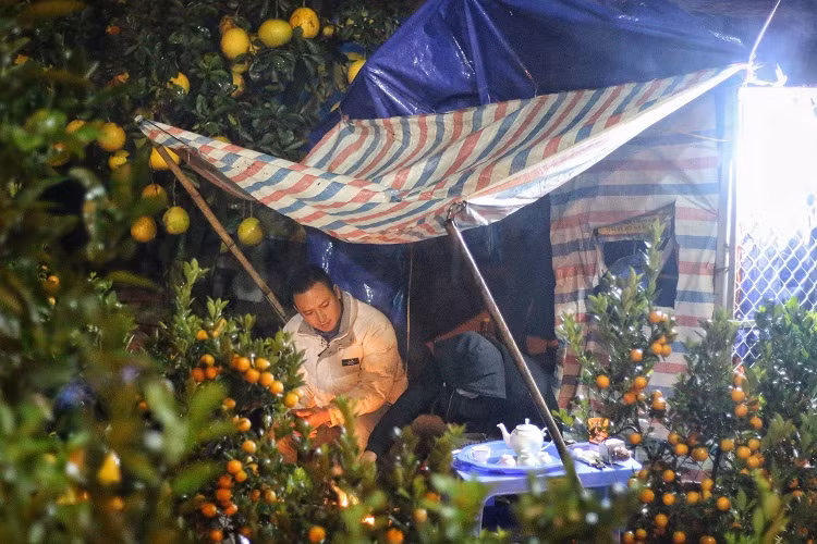 Theo anh Kim Thắng (Hoài Đức, Hà Nội) chủ một vườn bưởi cảnh cho biết, tiêu chuẩn đánh giá những cây bưởi cảnh chất lượng thường dựa vào tuổi thọ cây, thế cây đẹp, lạ mắt, nhiều quả thật, nhiều lá xanh, khả năng sinh trưởng tốt. Bưởi cảnh giá “khủng” thường là những cây bưởi cổ thụ có tuổi đời từ 20 năm trở lên, đây là loại cây được nhiều người yêu thích và săn đón vào dịp Tết.