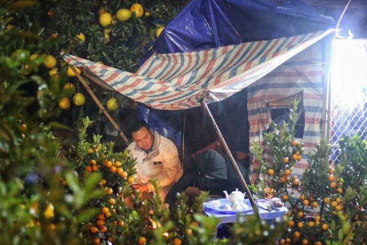 Theo anh Kim Thắng (Hoài Đức, Hà Nội) chủ một vườn bưởi cảnh cho biết, tiêu chuẩn đánh giá những cây bưởi cảnh chất lượng thường dựa vào tuổi thọ cây, thế cây đẹp, lạ mắt, nhiều quả thật, nhiều lá xanh, khả năng sinh trưởng tốt. Bưởi cảnh giá “khủng” thường là những cây bưởi cổ thụ có tuổi đời từ 20 năm trở lên, đây là loại cây được nhiều người yêu thích và săn đón vào dịp Tết.