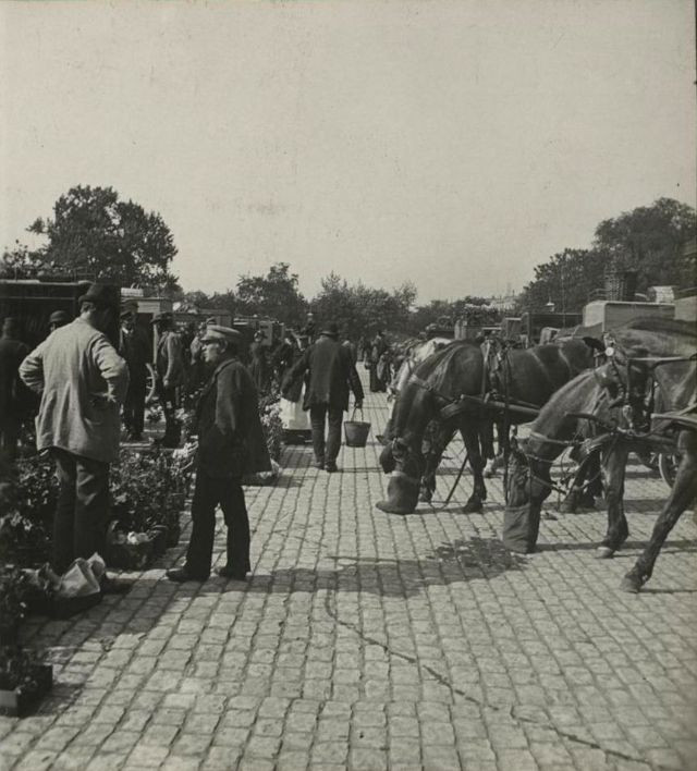 Cuối thế kỷ 19, đầu thế kỷ 20, người dân ở Copenhagen sử dụng ngựa để vận chuyển hàng hóa.