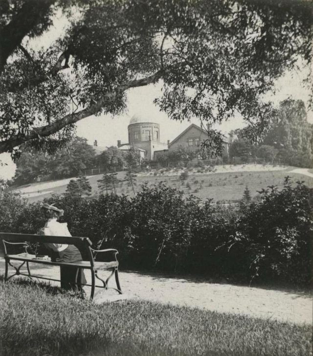 Người phụ nữ ngồi chơi, ngắm cảnh tại Botanical Garden.