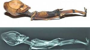 Dù vậy, những người tin vào sự tồn tại người ngoài hành tinh vẫn bảo vệ quan điểm của mình. Theo đó, cuộc tranh luận về nguồn gốc, thân thế của thi hài dài 15cm trở thành một chủ để được bàn luận sôi nổi nhất.