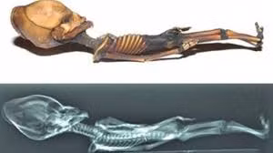 Dù vậy, những người tin vào sự tồn tại người ngoài hành tinh vẫn bảo vệ quan điểm của mình. Theo đó, cuộc tranh luận về nguồn gốc, thân thế của thi hài dài 15cm trở thành một chủ để được bàn luận sôi nổi nhất.