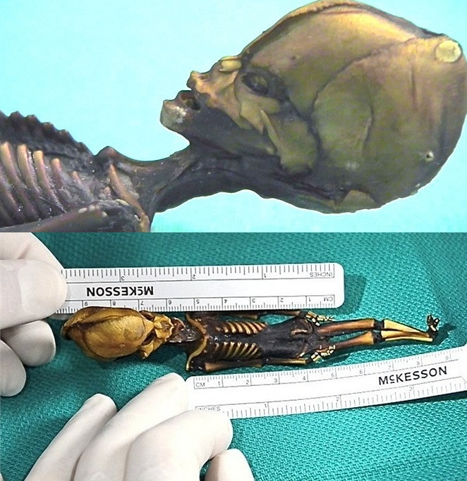 Vào năm 2003, dư luận xôn xao khi một số phương tiện truyền thông đưa tin tìm thấy xác ướp người ngoài hành tinh tại sa mạc Atacama, Chile.