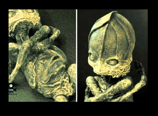 Một trong những sinh vật bí ẩn được cho là xác người ngoài hành tinh gây tranh luận gay gắt được tìm thấy tại làng Kaolinovy gần thành phố Kyshtym ở vùng Ural, Nga năm 1996.