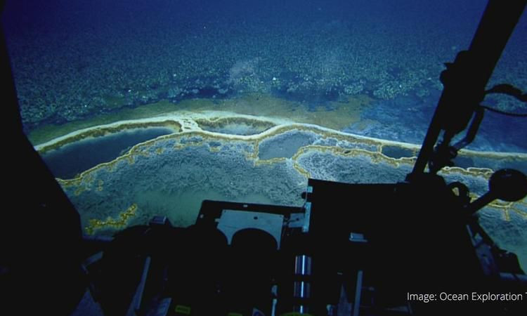 Khi phát hiện hồ muối lớn này, các chuyên gia vô cùng kinh ngạc và bất ngờ. Kể từ đó, họ tiến hành một số nghiên cứu và phát hiện nhiều bí mật thú vị.
