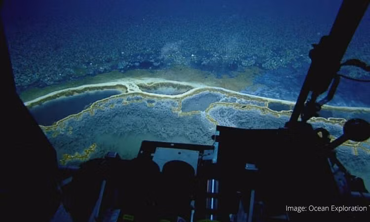 Khi phát hiện hồ muối lớn này, các chuyên gia vô cùng kinh ngạc và bất ngờ. Kể từ đó, họ tiến hành một số nghiên cứu và phát hiện nhiều bí mật thú vị.