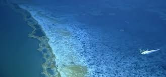 Tiếp đến, các chuyên gia tiến hành lấy các mẫu vi sinh vật trong hồ muối lớn để tìm hiểu.