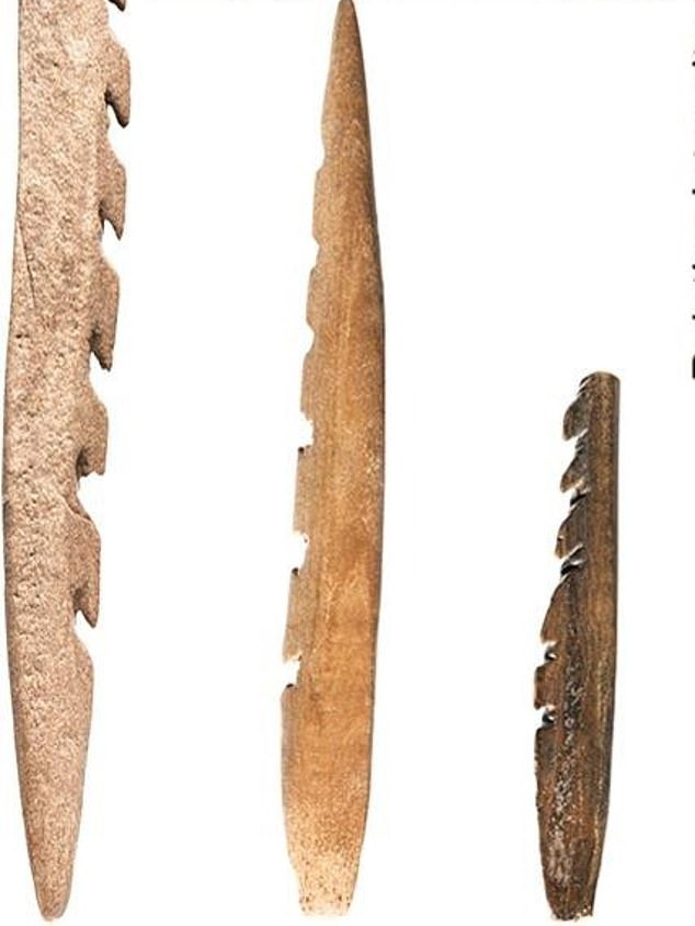 Ban đầu, các chuyên gia cho rằng, con người thời Đồ Đá dùng nhiều xương hươu đỏ là vì loài vật này sinh sống phổ biến tại Doggerland. Tuy nhiên, một số loài khác như bò rừng châu Âu (Bos primigenius), hoẵng châu Âu (Capreolus capreolus) và lợn rừng (Sus scrofa) cũng xuất hiện nhiều tại khu vực này trong khoảng thời gian đó.