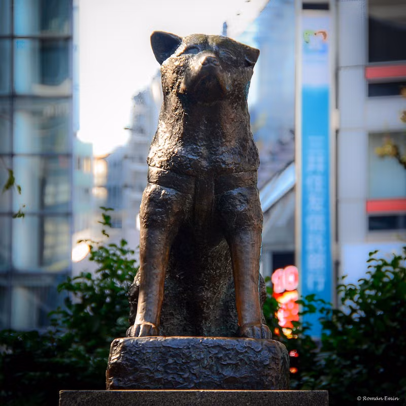 Vào ngày 8/3/1935, chú chó Hachiko chết. Cả gia đình giáo sư Ueno ở bên chú chó hết mực trung thành này cho tới những giây phút cuối cùng của nó. Mỗi năm vào ngày 8/3, người dân tổ chức một buổi tưởng niệm chú chó Hachiko tại nhà ga Shibuya.