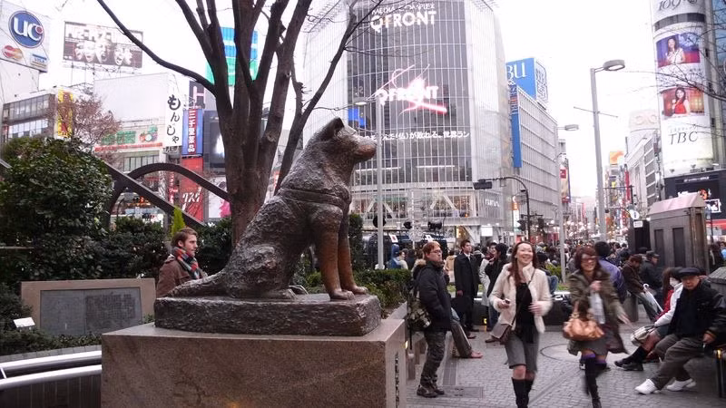Vào mỗi buổi sáng, khi giáo sư Ueno đi làm thì chú chó Hachiko lại tiễn ông chủ đến ga Shibuya. Nó chờ ông mua vé rồi đi khuất vào bên trong ga. Sau đó, chú chó Hachiko thường ngồi ở một bục nhỏ trước cửa ga để chờ chủ nhân đi làm về vào mỗi buổi chiều muộn.