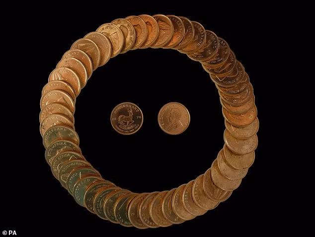 Hiện giới chuyên gia cố gắng tìm ra chủ nhân của gần 50 đồng xu vàng trên.