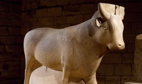 Với phát hiện này, các chuyên gia nhận định người Ai Cập cổ đại tôn sùng loài bò. Họ coi bò là loài vật linh thiêng đóng vai trò quan trọng trong đời sống tôn giáo.