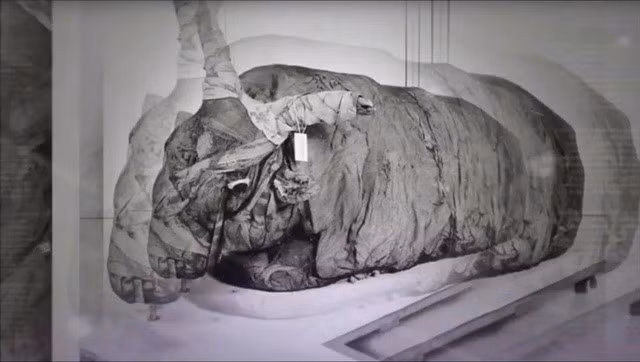 Các chuyên gia tiết lộ, bên trong cỗ quan tài nặng khoảng 90 tấn không phải là xác ướp con người như nhiều người vẫn nghĩ.