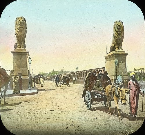 Bên cạnh lạc đà, người dân Ai Cập còn sử dụng lừa, ngựa để kéo xe.