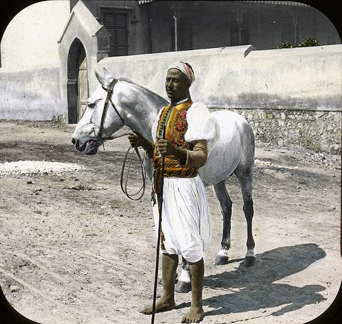 Con ngựa trắng được một người đàn ông sử dụng để di chuyển đến nhiều nơi ở Ai Cập những năm 1900.